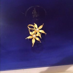 Beautiful pin vintage!